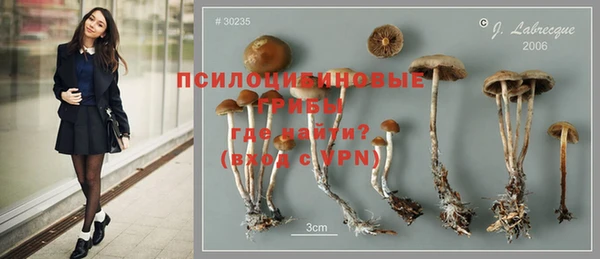 стаф Беломорск