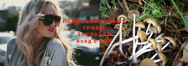 ешки Белокуриха