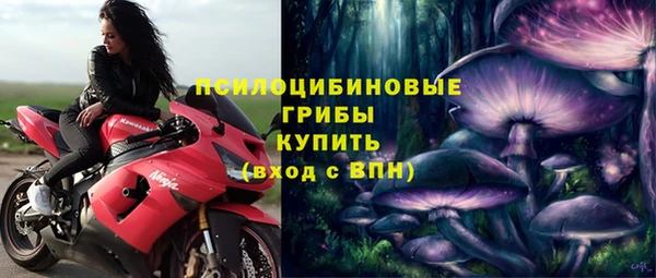 стаф Беломорск
