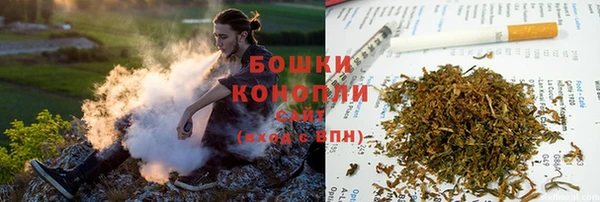 ешки Белокуриха