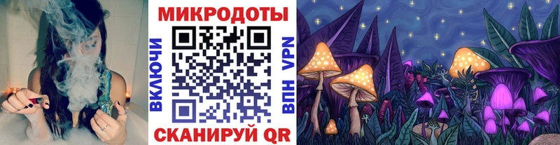 закладка  Кяхта  Галлюциногенные грибы Psilocybe 